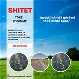 SHITET TOKË NË AUTOSTRADËN TIRANË-LEZHË 