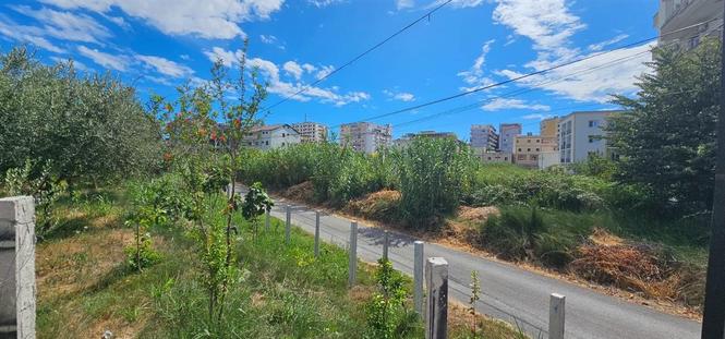 18065615  TOK TRUALL  503m² PLAZH DURRES
