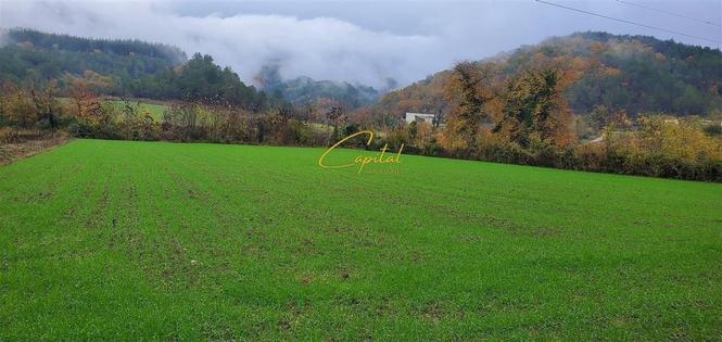 SHITET TOKE 3.500 M2 PETRELE 315.000 EURO