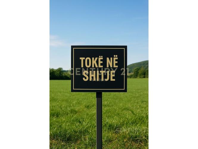 Tokë për Shitje në Golem, Shkodër | 4236 m²