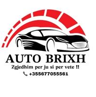 Auto Brixh