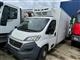 Shes Iveco plus fiat frigo