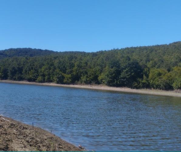 Shitet toke me Liqen Divjake/ Land with Lake For Sale
