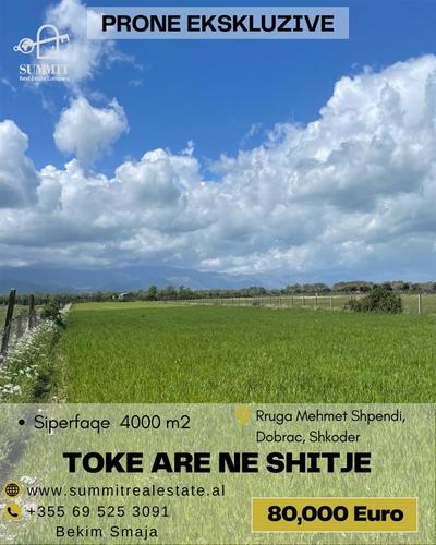 SHITET TOKE NE DOBRAC,SHKODER