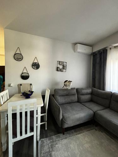 &#55356&#57313 Apartament 1+1 për shitje te Rruga Endri Keko