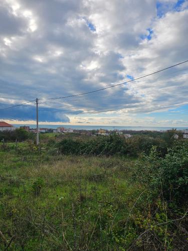 &#55356&#57151 SHITET TOKE NE KODER ARAPAJ, DURRES