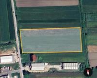 SHITET TRUALL 11000 M2 RINAS 440.000 EURO