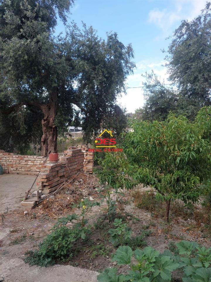 -----SHITET-SHTËPI-PRIVATE-+-TRUALL-TE-RRUGA-E-RE--VLORË