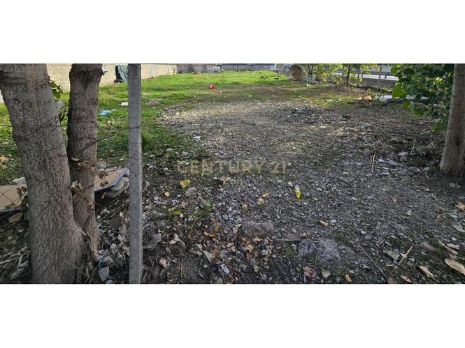 0683005058 Shitet Tokë Buzë Rruge, 900m²!