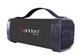 Wireless Speaker Earldom A12
