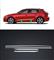 MODANATURE CROMATE LATERALI ADESIVE AUDI A3 8V SPORTBACK 201