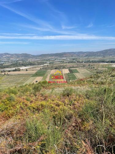&#55356&#57151 SHITET TOKË NË TREVLLAZËR, VLORË  &#55357&#56496 ÇMIMI: 5 €/m²  &#55357&#56525 Ve