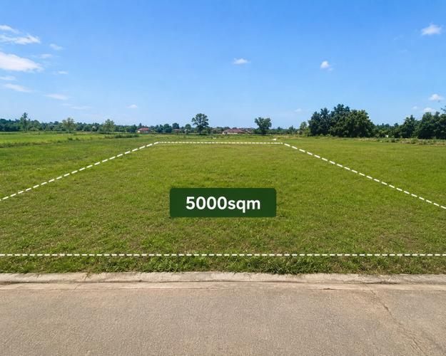 Vore jepet Toke 5,000m2 me qira