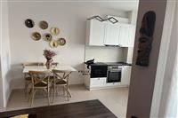 APARTAMENT ME QERA 2+1 KOPSHTI ZOOLOGJIK 700 EURO