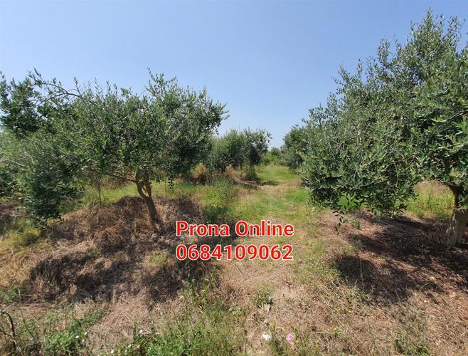 SHITET tokë 4.190 m2 në Manzë Durrës