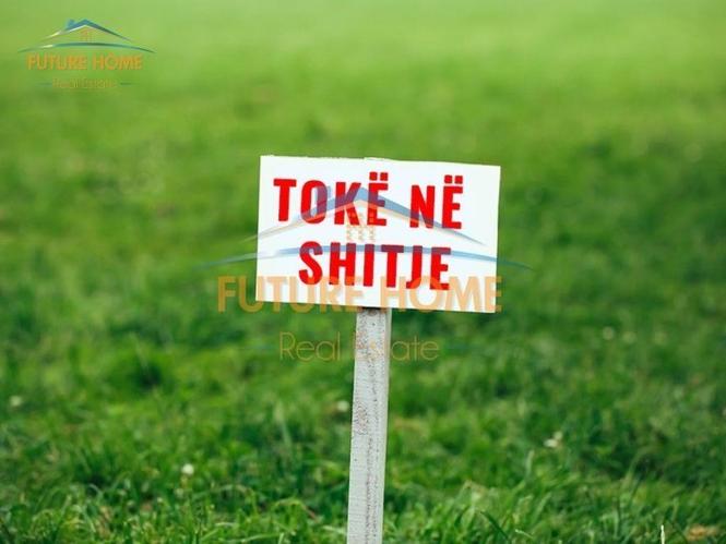 Okazion Shitet Toke Hamallaj Gjiri Lalzit