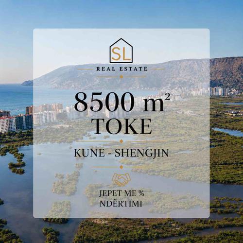 Toke ne Kune