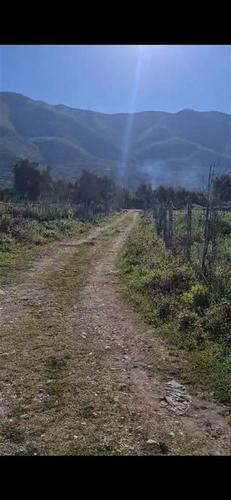 (ERG) &#55357&#57314 SHITET TOKË 3900M², BORSH!