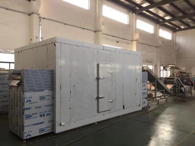 Automatic Freezer Frigorifer ngrires me tapet (tunel
