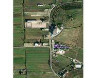 SHESIM 5000M2 TOKE PRANE VINEA RESORT NE SHKALLNUR, DURRES!