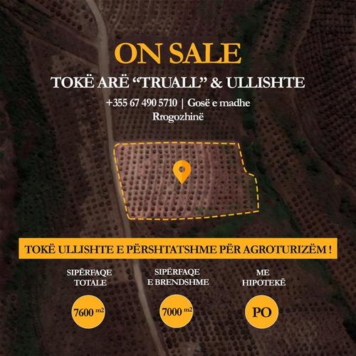 SUPER PRONË NË SHITJE – IDEALE PËR RESORT / RESTORANT