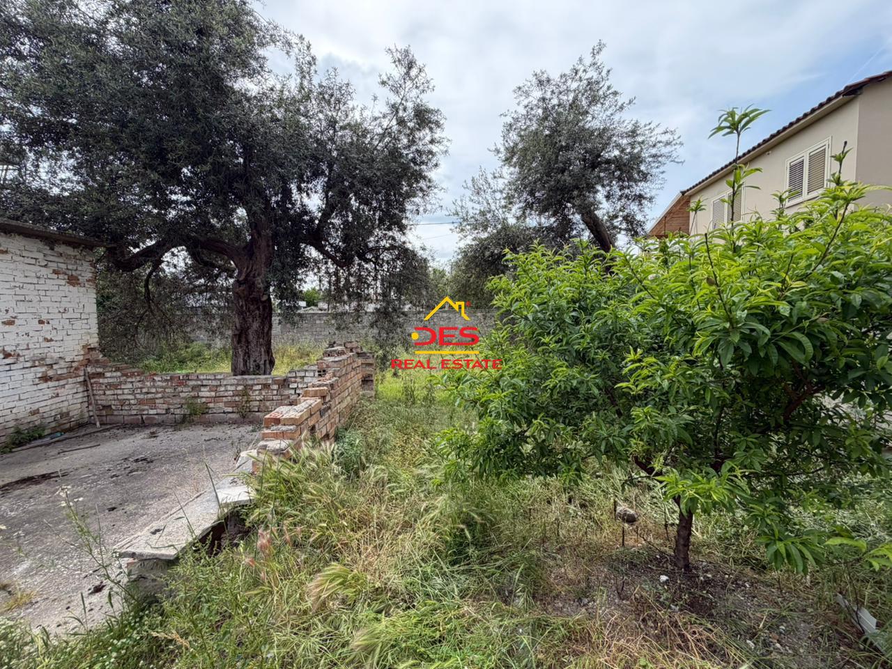 -----SHITET-SHTËPI-PRIVATE-+-TRUALL-TE-RRUGA-E-RE--VLORË