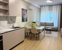 APARTAMENT ME QIRA 1+1 KOMPLEKSI MANGALEM 43.000 LEKE