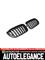 MASKARINO PER BMW X3 F25 X4 F26 RADIATOR 