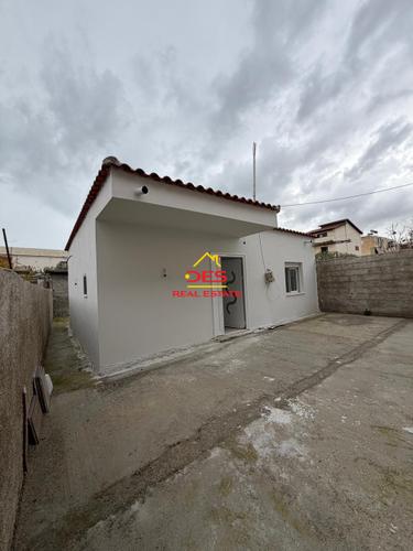 &#55356&#56725&#55356&#57304 SHITET SHTËPI PRIVATE + TRUALL NË ÇOLE, VLORË.