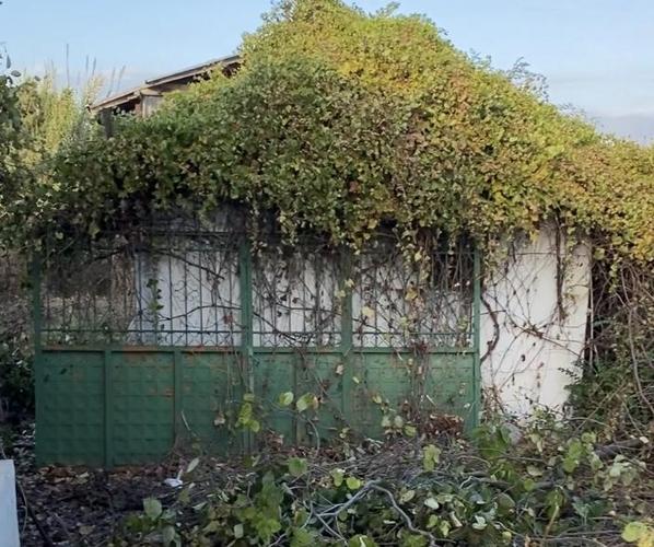 Shitet porta