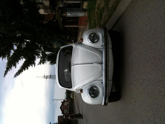 VW Beetle Old Timer