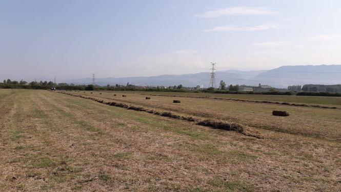 Në shitje: Tokë në Fushë Prezë (Ahmetaq)