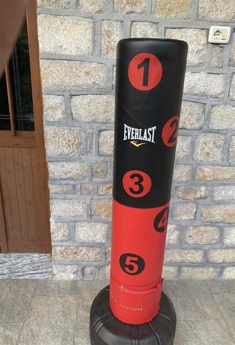 Thes boksi EVERLAST