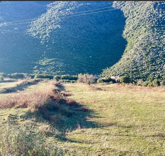 Shitet, Toke me Hipotek. Pran Tunelit te Llogaras