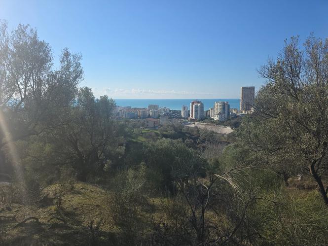 SHITET SUPER TOKE ME PAMJE DETI TEK SHKEMBI SHKËMBI I KAVAJË