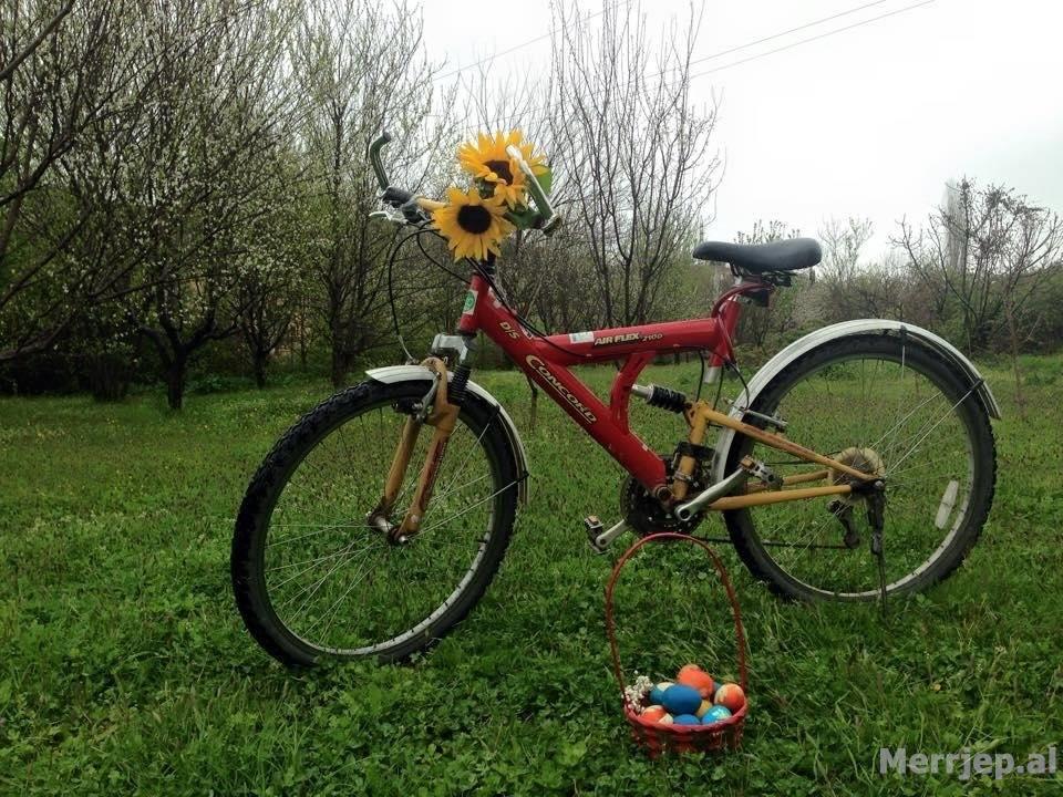 bicicletta amortizatore