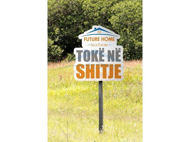Shitet, Toke, Lunder