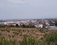 18087618  TOK TRUALL 8500m² SHIJAK