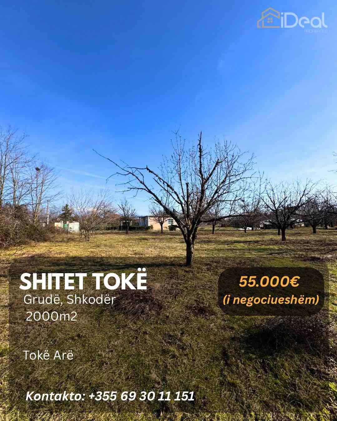 ---Shitet-Tokë-në--Grudë---Shkodër-