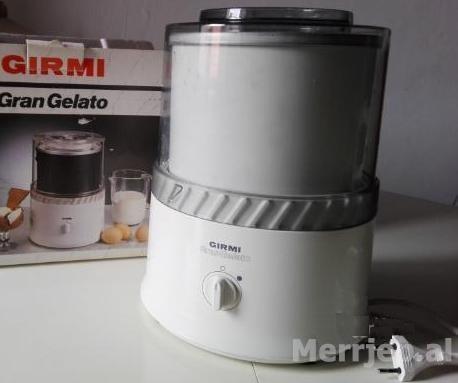 Girmi ice cream best sale maker
