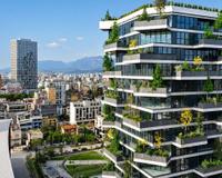 Qera Ambient në Vertical Forest, Stadiumi Air Albania