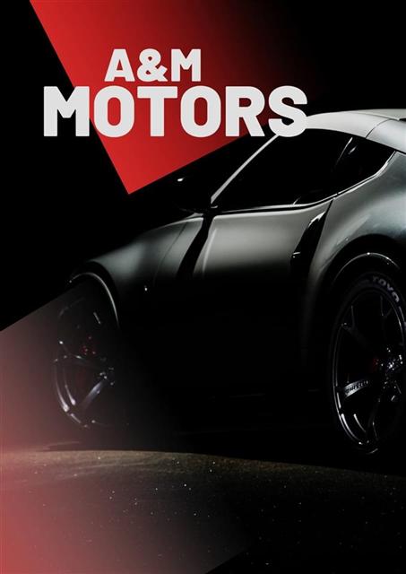 AM MOTORS