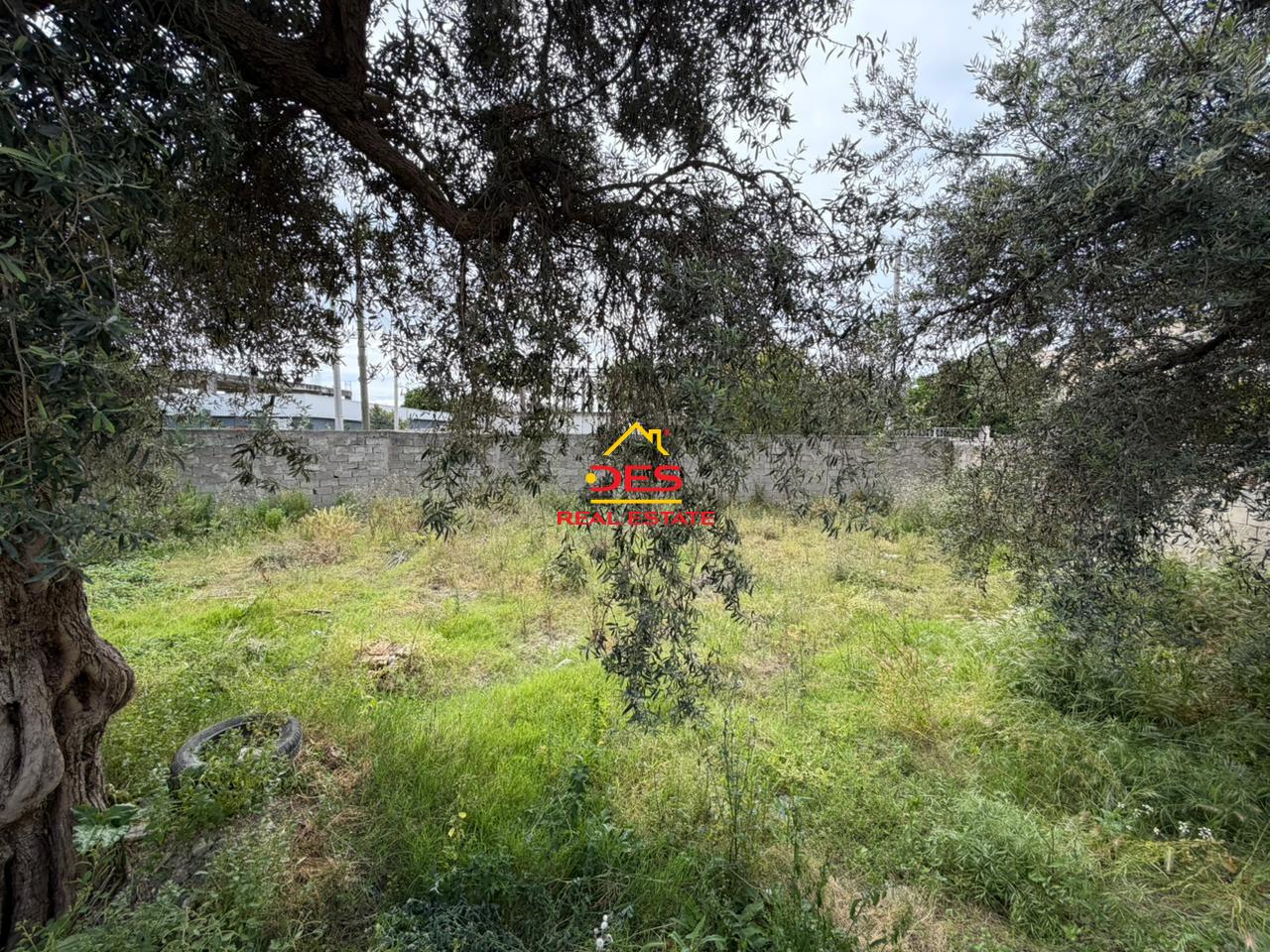 -----SHITET-SHTËPI-PRIVATE-+-TRUALL-TE-RRUGA-E-RE--VLORË