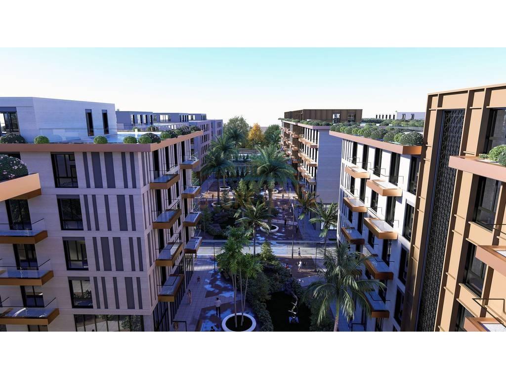 0692157078-Shitet--Apartament-1+1--Palm-Paradise--Qerret-