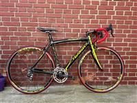 WILIER CARBON 