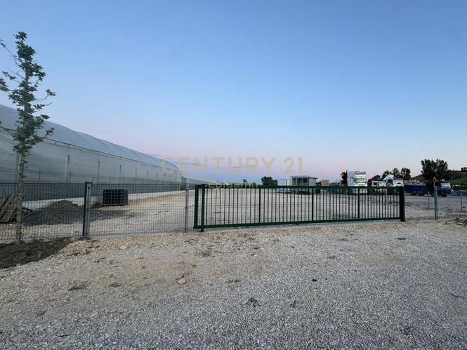 Toke me Qira në Shën Avlash, Durrës - 800€ | 4000 m²