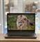 DELL PRECISION 7560