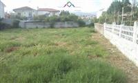 Shitet Truall Prane Vilave Amerikane (ID BT45) Tirane