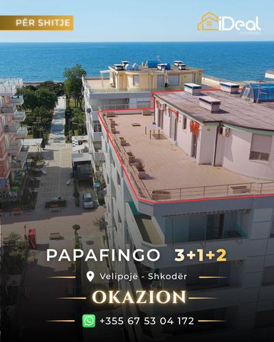 &#55356&#57312 SHITET PAPAFINGO