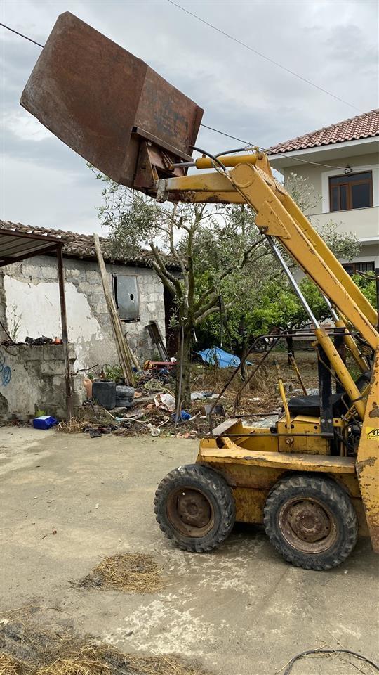 Bobcat-